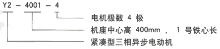 YR系列(H355-1000)高压YKS4506-4三相异步电机西安西玛电机型号说明